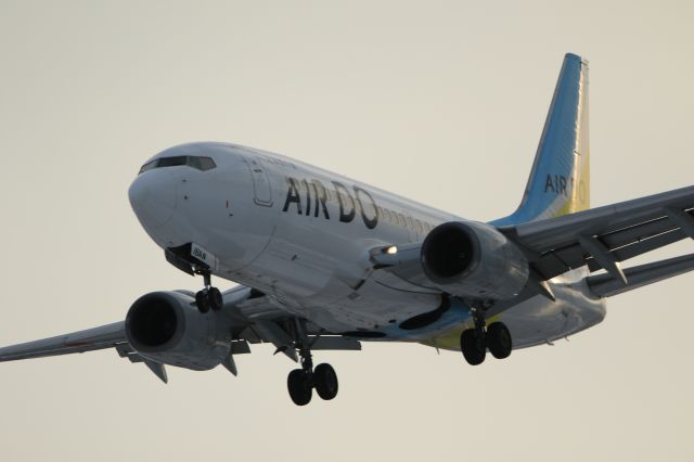 Boeing 737-700 (JA16AN) - January 26th 2019:HMD-HKD.