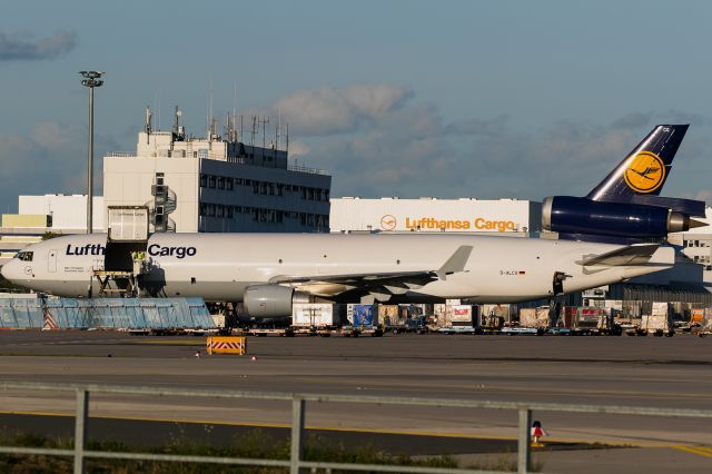 Boeing MD-11 (D-ALCG) - cargo deck