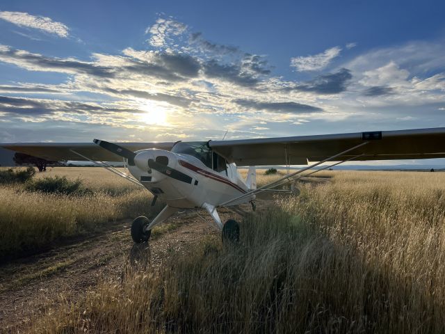 Piper PA-12 Super Cruiser (N255V)