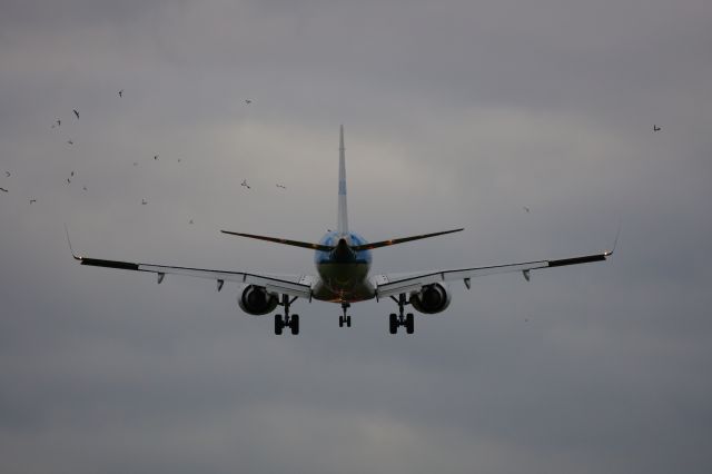 Embraer 170/175 (PH-EZT)