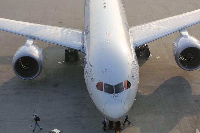 Boeing 787-8 (JA805A)