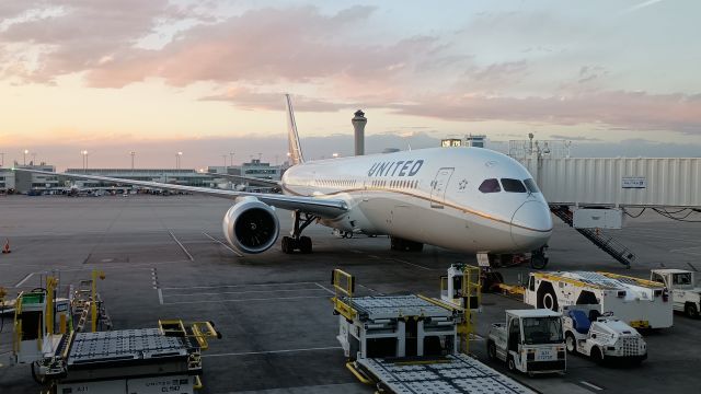 Boeing 787-9 Dreamliner (N29971)