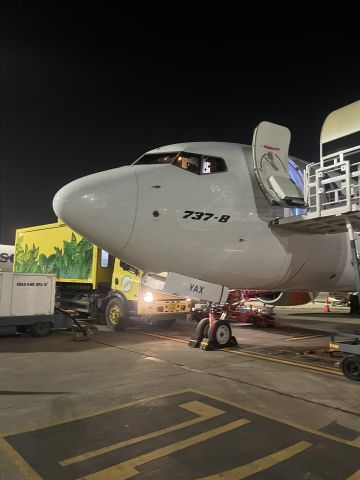 Boeing 737 MAX 7 (VT-YAX) - The 8 inch sharp nose