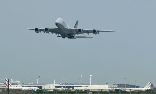 Airbus A380-800 (D-AIME)