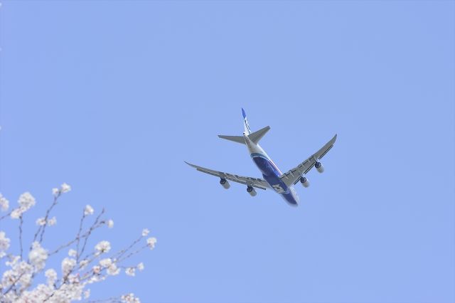BOEING 747-8 (A11KZ)