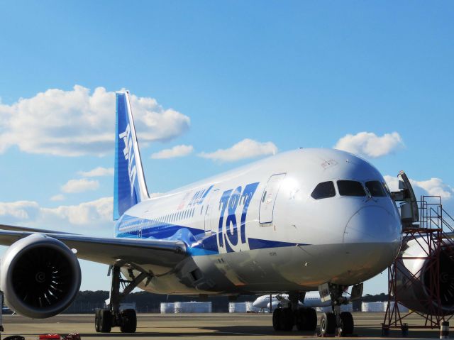 Boeing 787-8 (JA814A) - I take a picture on Dec 28, 2016.br /Its so fine that its strange that heat devil doesnt occur.br /This B787 has arrived from Bombay as NH830. This airplane will fly to San Jose as NH171 tomorrow. This picture took a picture of the stay.