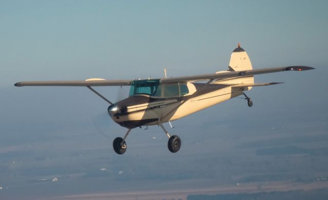 Cessna 170 (N4494B) - Flying