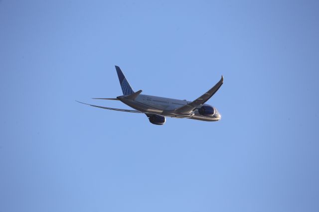Boeing 787-9 Dreamliner (N29975)