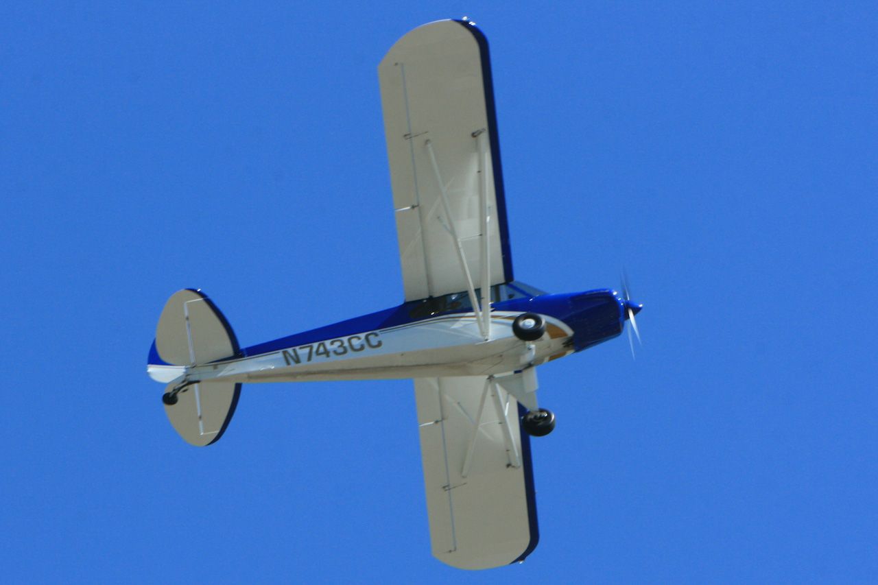 Piper L-18B Cub Special (N743CC)