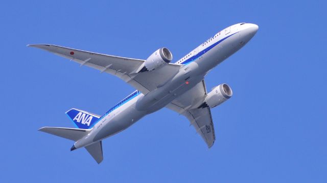 Boeing 787-8 (JA817A)