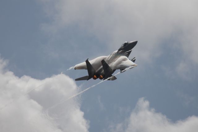 McDonnell Douglas F-15 Eagle — - F-15 flyby at Wings Over Houston 2017 (#WOH)