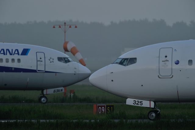 Boeing 737-800 (JA325J) - and JA63AN(ANA)