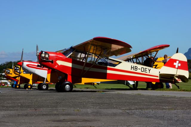 HB-OEY — - 1944 built former 44-80144 (USAF) leading the row at Piper Cub FlyIn 2014. Registered since March 12, 1946