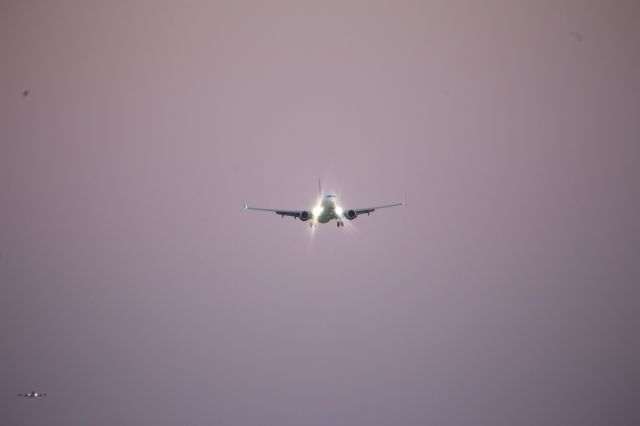 Boeing 737-900 (N917DU)