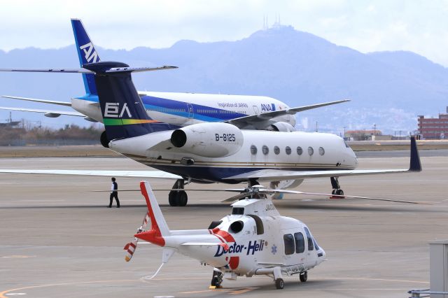 Gulfstream Aerospace Gulfstream V (B-8125)