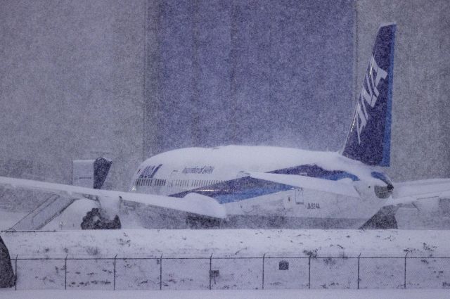 Boeing 787-8 (JA924A) - A rare near-blizzard this morning (26 December 2021) thoroughly dusting a shiny new ANA Dreamliner at Boeing's facility in Everett, Washington
