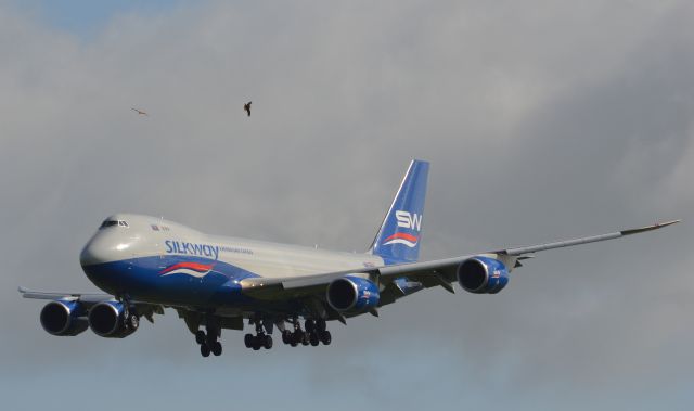 BOEING 747-8 (VQ-BVC)