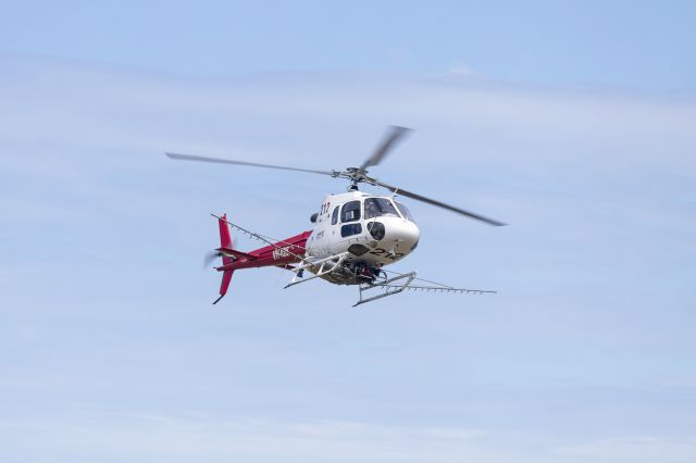 Eurocopter AS-350 AStar (VH-IQB) - Pays Helicopters (VH-IQB) Eurocopter AS350B2 Ecureuil at Wagga Wagga Airport.