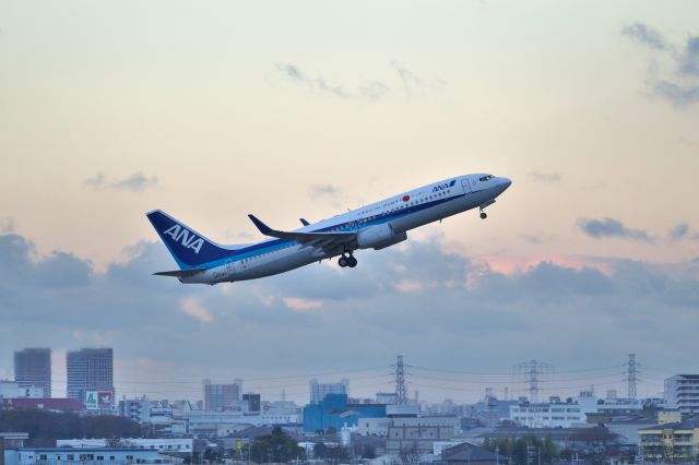 Boeing 737-800 (JA55AN)