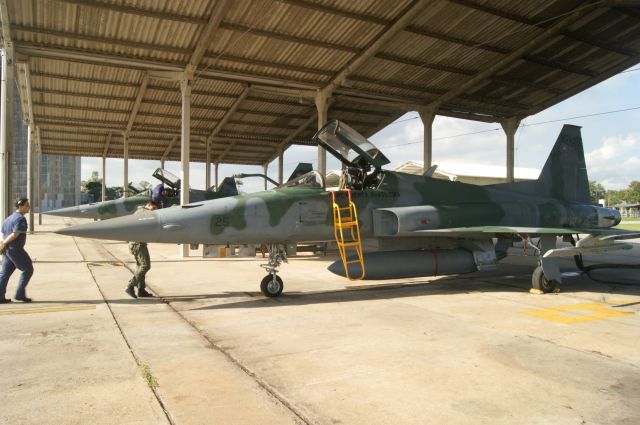 — — - A pair of Brazilian Air Force F-5EM beeing prepare to take-off. This photo was taken in 2012. You can see on of the pilots walking-around the near aircraft.