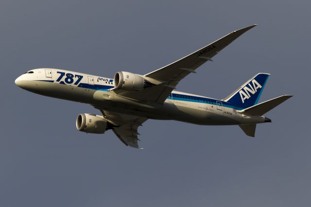 Boeing 787-8 (JA805A)