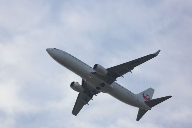 Boeing 737-800 (JA348J)