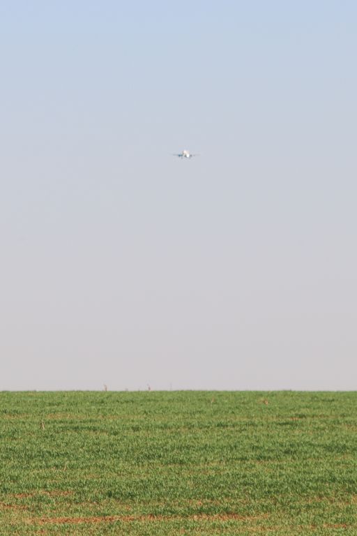 Airbus A320 (RA-73834)