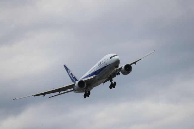 Boeing 777-200 (JA710A) - May 11th 2019:HND-HKD.