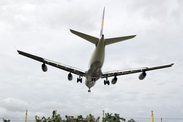 Airbus A340-300 (D-AIFD)