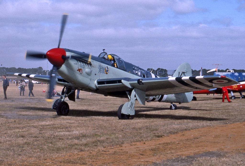 VH-HMW — - FAIREY FIREFLY AS-6 - REG VH-HMW / WD-828 (CN F-8656) - BALLARAT AIRPORT VIC. AUSTRALIA -YBLT (16/2/1985)