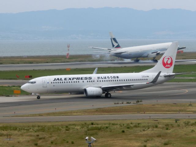 Boeing 737-800 (JA338J) - がんばろう日本塗装(^O^)