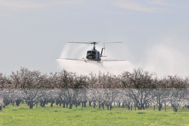 — — - Spraying almonds, Glenn Co. CA