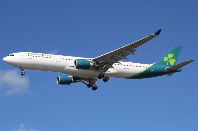 Airbus A330-300 (EI-EDY)