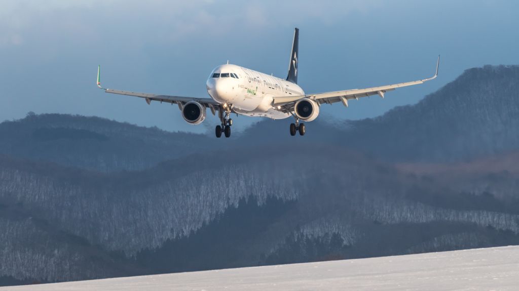 Airbus A321 (B-16206)