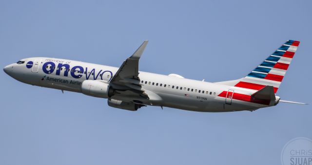 Boeing 737-800 (N919NN)