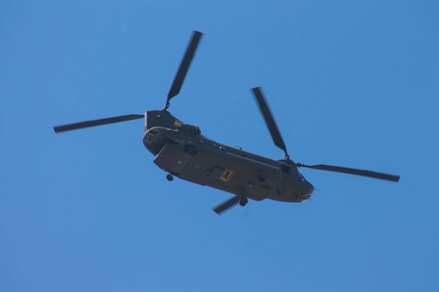 — — - Chinook flying over my house. Army Air Guard unit B/1-126 based at the Stockton, CA airport.