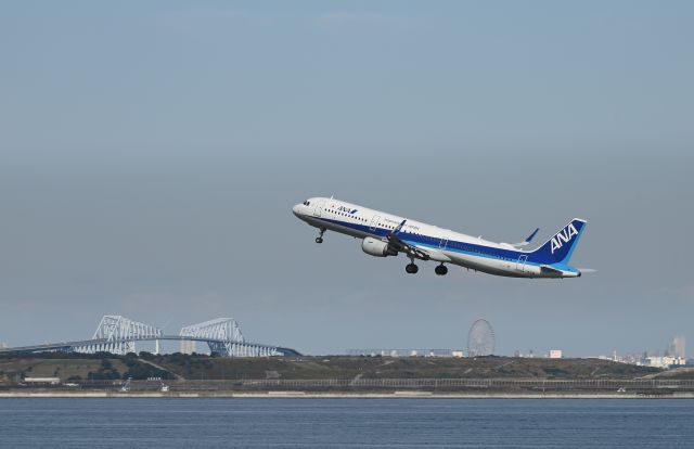 Airbus A320 (JA113A) - 30.Oct.2022br /RWY34Rbr /Nikon Z6Ⅱ / Nikkor AF-S 70-200mm 1:2.8Gbr /With trimming