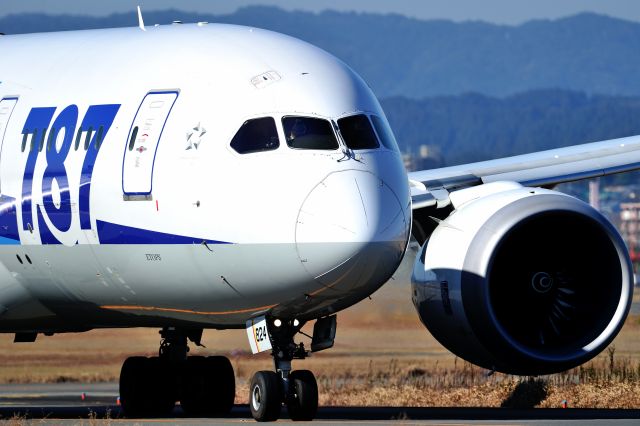 Boeing 787-8 (JA824A)