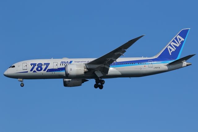 Boeing 787-8 (JA817A)