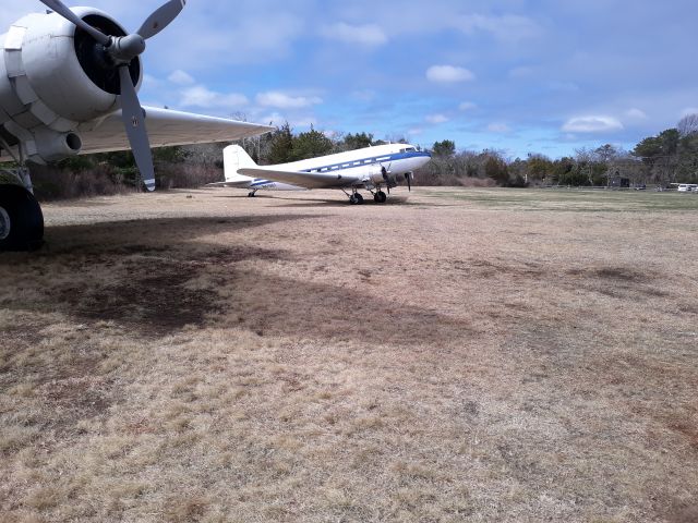 Douglas DC-3 (N61981)