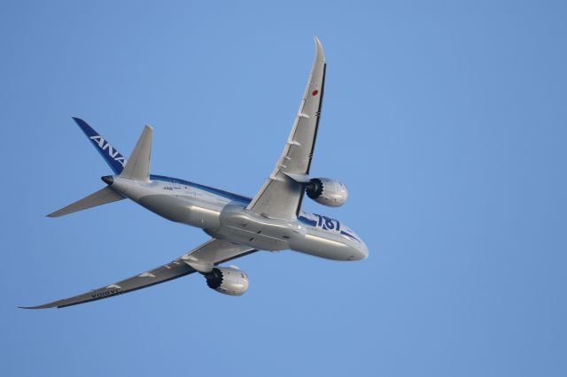 Boeing 787-8 (JA810A) - 15 September 2015:HKD-HND.