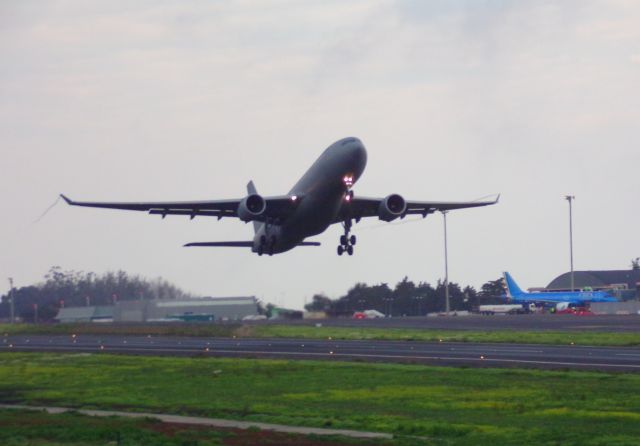 Airbus A330-200 (T2401)
