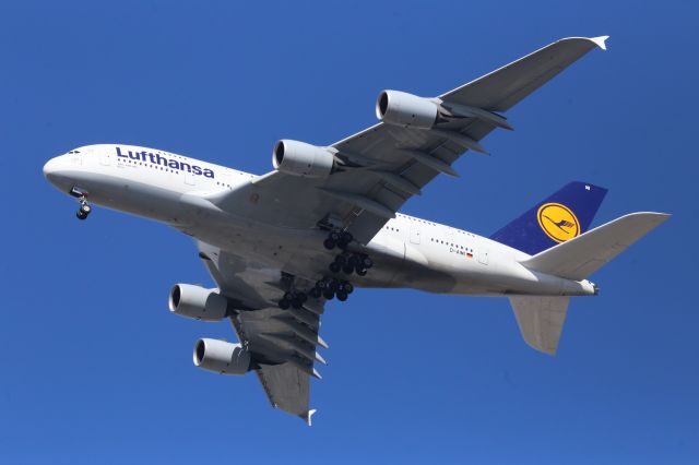 Airbus A380-800 (D-AIMI)