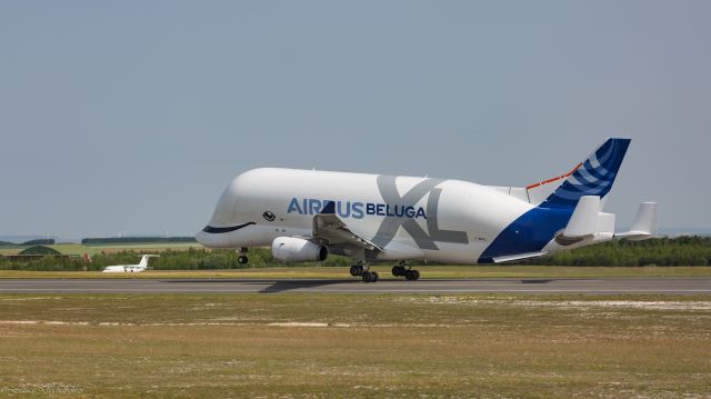 AIRBUS A-330-700 Beluga XL (F-WBXL)