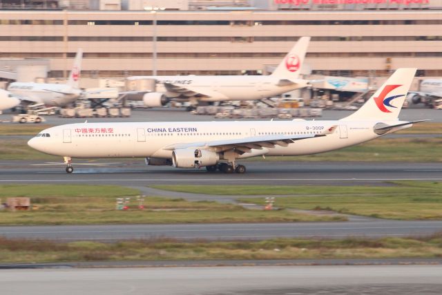 Airbus A330-300 (B-300P)