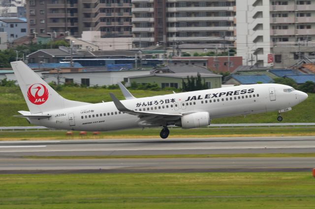 Boeing 737-800 (JA338J)