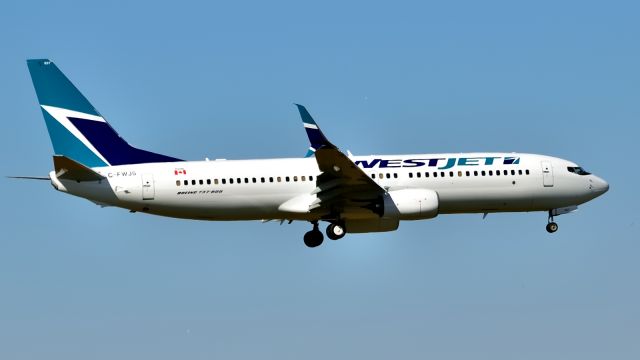 Boeing 737-800 (C-FWJS)