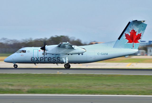 de Havilland Dash 8-100 (C-GANI)