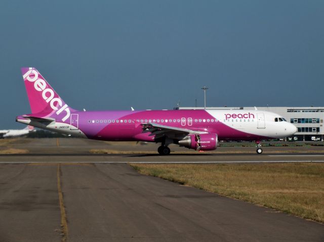 Airbus A320 (JA803P) - Peach Aviation