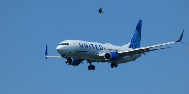 Boeing 737-800 (N37290) - On short final is this United Airlines Boeing 737-824 from the Spring of 2022.